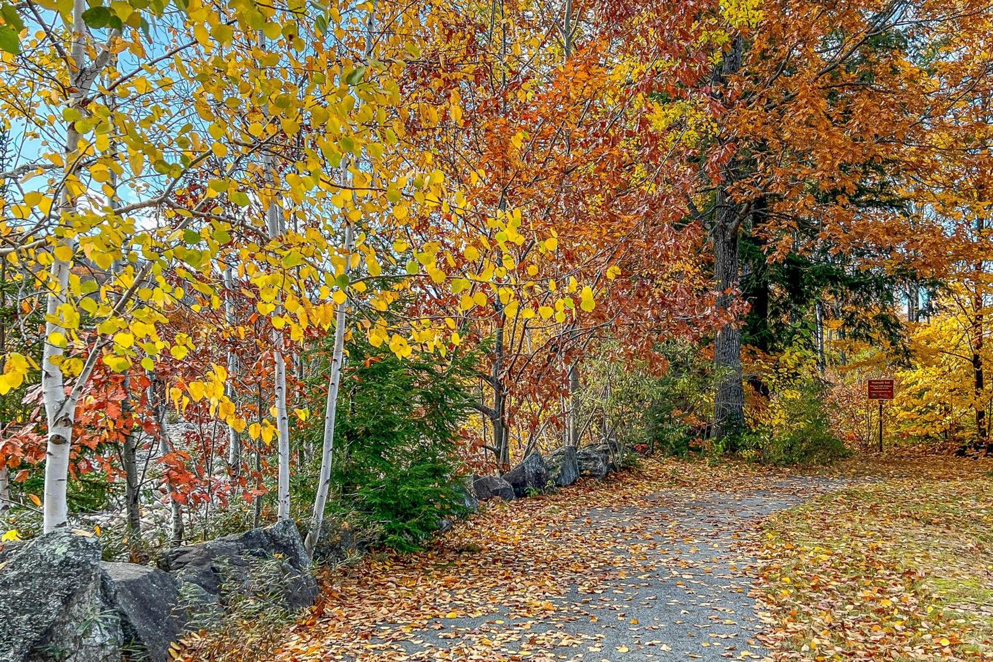 Autumn Colors Condo, Unit 215 Lincoln Luaran gambar